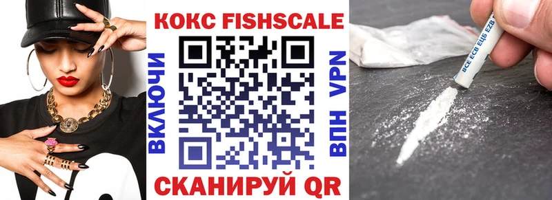 КОКАИН FishScale  купить закладку  Гусь-Хрустальный 