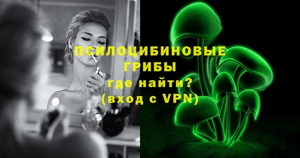 ГАЛЛЮЦИНОГЕННЫЕ ГРИБЫ Алексеевка