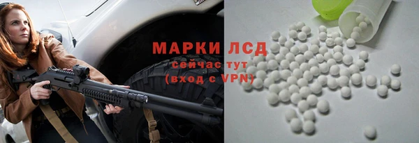 ГАЛЛЮЦИНОГЕННЫЕ ГРИБЫ Алексеевка