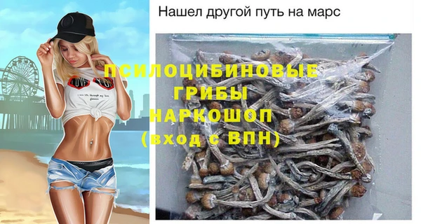 индика Абаза