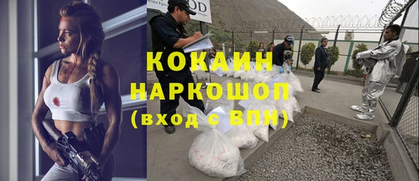 PSILOCYBIN Алзамай
