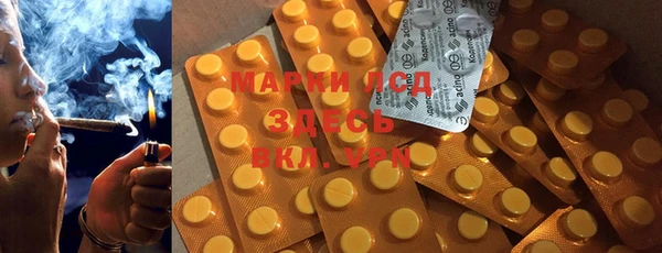 PSILOCYBIN Алзамай