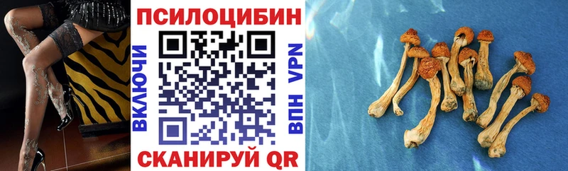 магазин продажи дарк нет официальный сайт Псилоцибиновые грибы ЛСД Гусь-Хрустальный